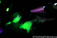 photo_12